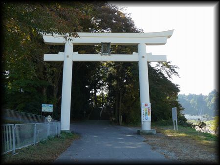 雄山神社参道に設けられた大きな白い鳥居