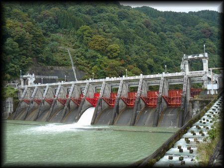 �����_��