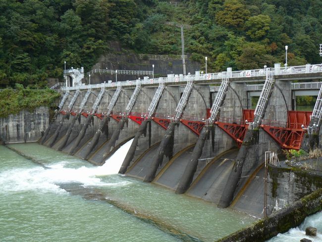 �����_��