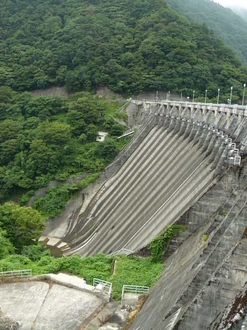 ���q�_��