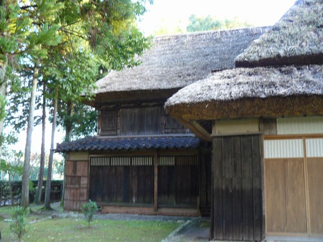 �������ƏZ��