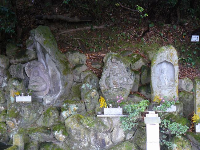 �Z��̐���