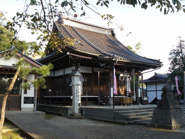 �o�q�䔄�_��