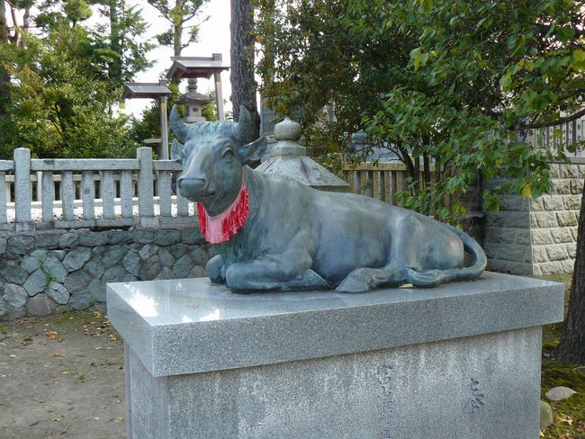 ���ۑ��_��