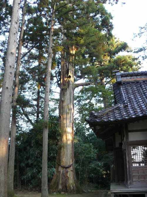 熊野神社１