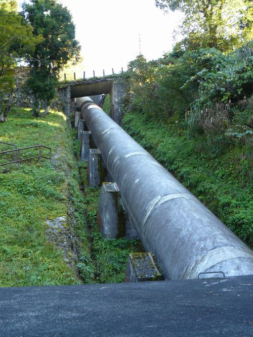 ���n�R���d��