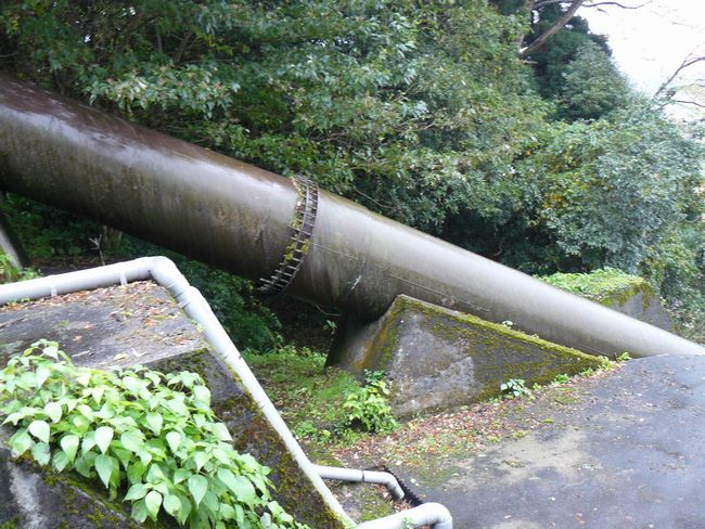 ��v�۔��d��