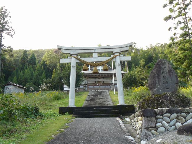 �����_��