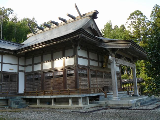 �����_��