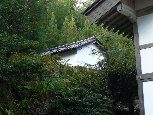 �����_��