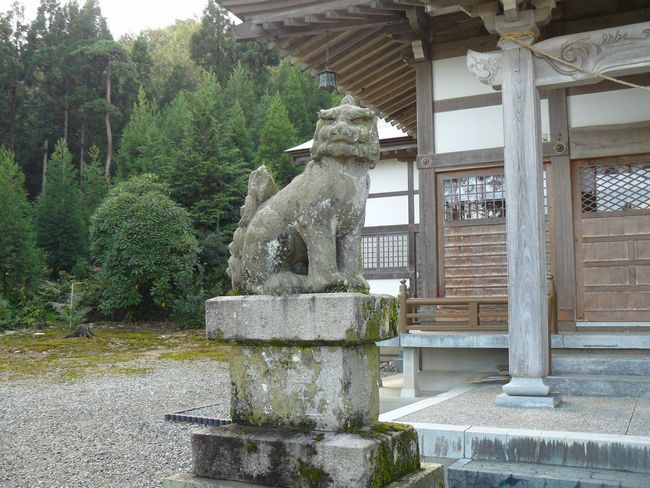 �����_��