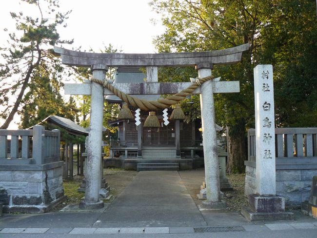 �����_��