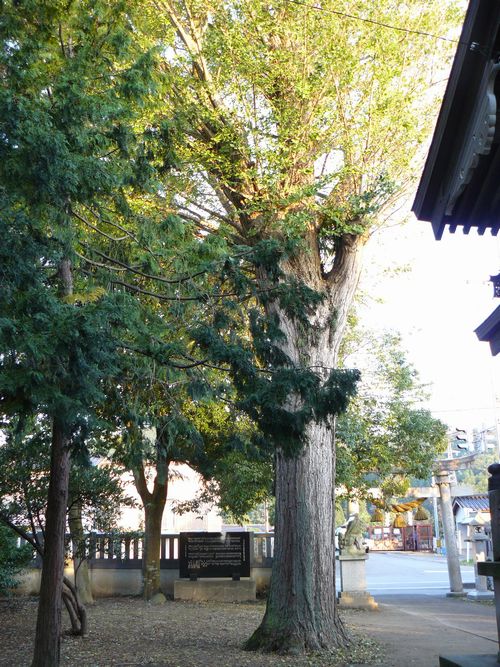 �����_��