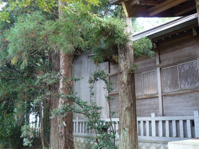 �����_�ЂP