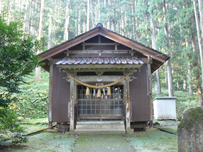 �����_��