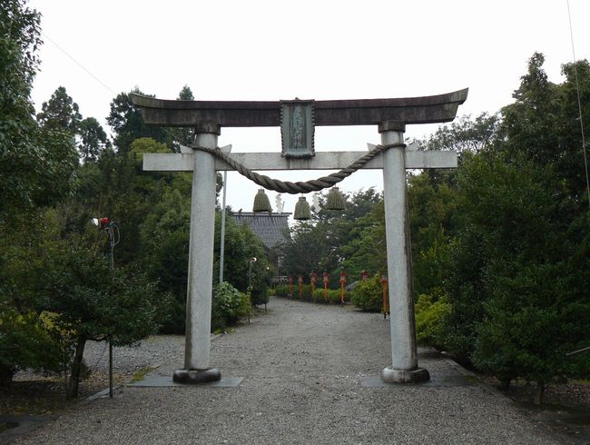 ���v���u�_��