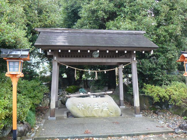 ���v���u�_��