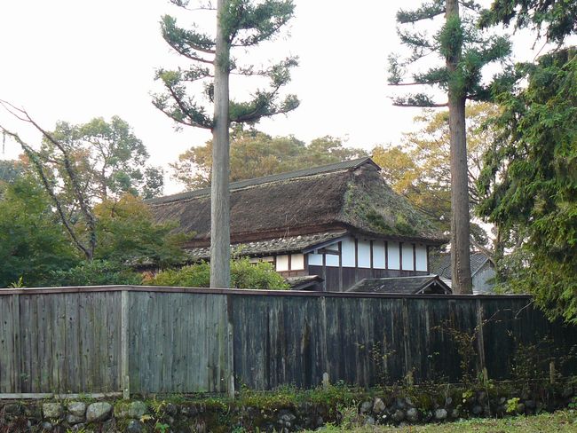 ���c�ƏZ��