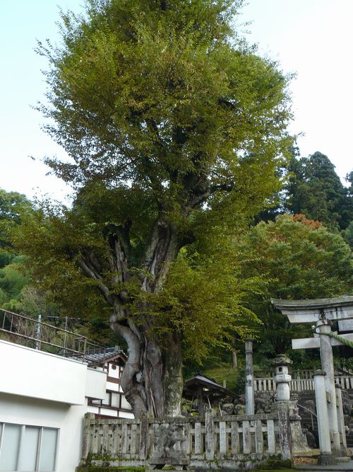 �x�R�s�������E�z�K��