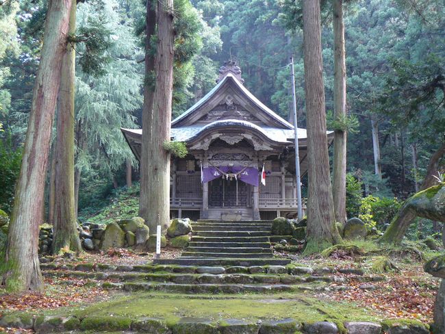 ��{������