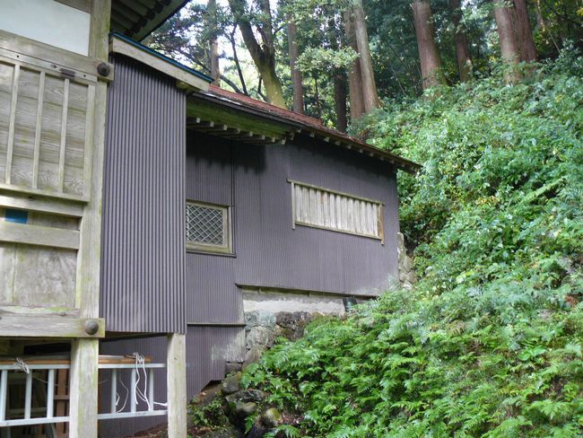 ��{������